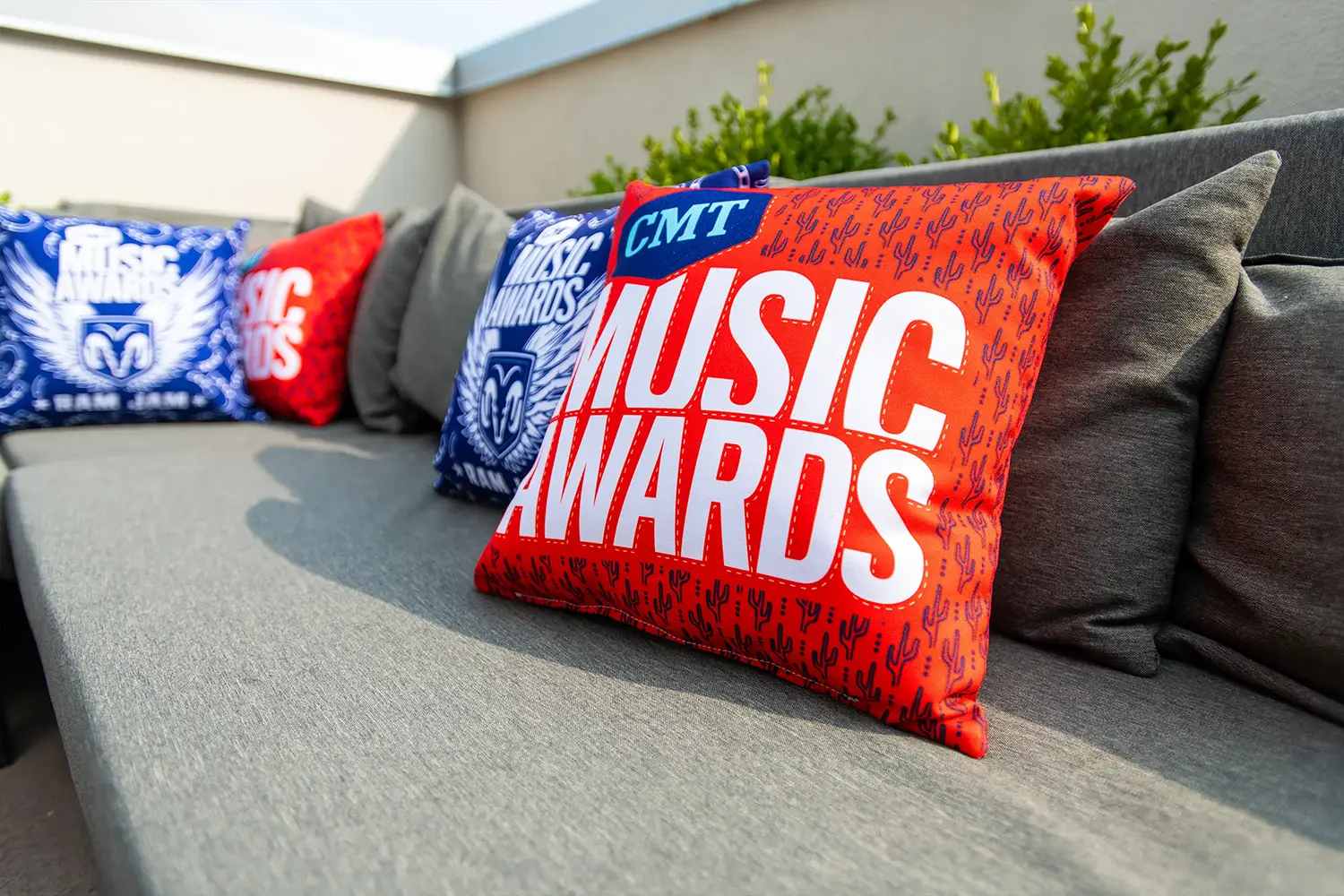 CMT Ram Jam Pillows